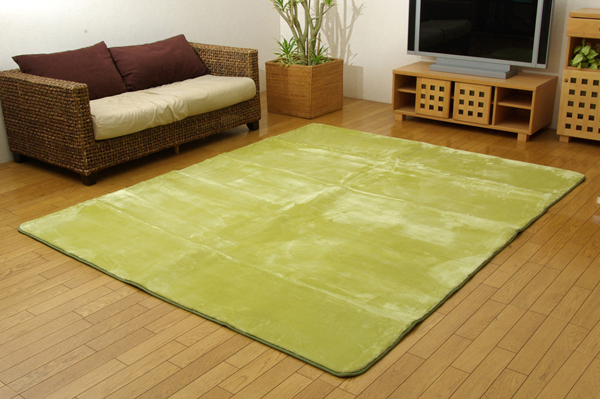 洗える ウォッシャブルラグカーペット 『WSウェンデルNSK』 グリーン 200×250cm