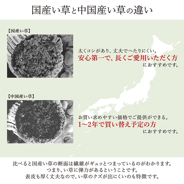 純国産/日本製 い草花ござカーペット 『ランクス総色』 ベージュ 江戸間4.5畳(約261×261cm) 抗菌&防臭効果
