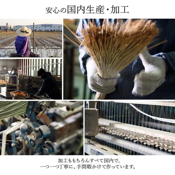 純国産/日本製 い草花ござカーペット 『ランクス総色』 ベージュ 江戸間4.5畳(約261×261cm) 抗菌&防臭効果