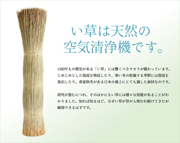 七島い草使用 ユニット畳 『琉球畳20mm』 82×82×2.0cm(2枚1セット)