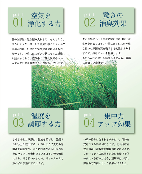 七島い草使用 ユニット畳 『琉球畳20mm』 82×82×2.0cm(2枚1セット)