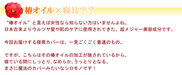 イメージ画像2
