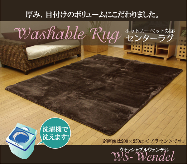 洗える ウォッシャブルラグカーペット 『WSウェンデル』 ブラウン 200×300cm
