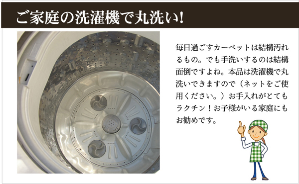 洗える ウォッシャブルラグカーペット 『WSウェンデル』 ブラウン 200×300cm