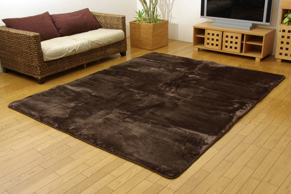 洗える ウォッシャブルラグカーペット 『WSウェンデル』 ブラウン 200×300cm