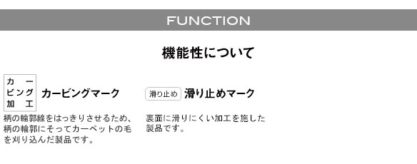 イメージ画像12