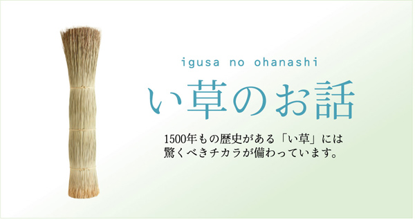 純国産/日本製 柳川段通 袋四重織 い草ラグカーペット 『彩乃』 約191×250cm