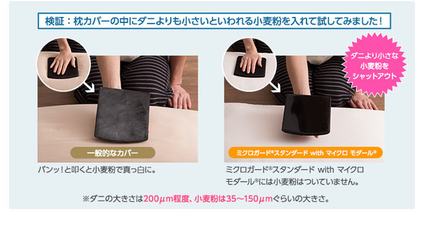 イメージ画像10