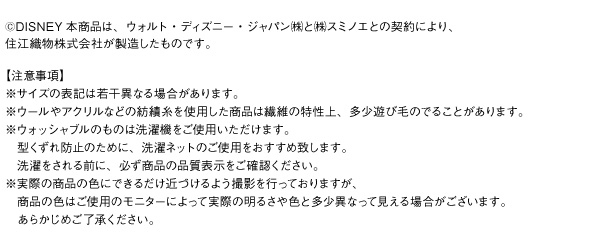 イメージ画像17