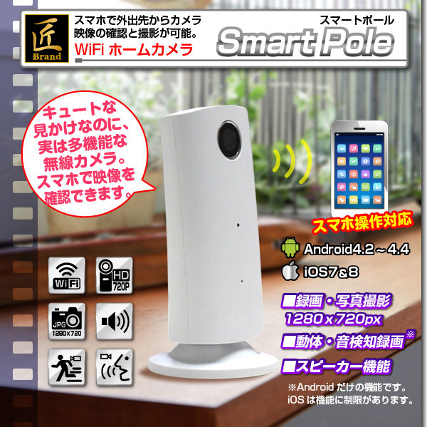 ホームカメラ WiFiホームカメラ(匠ブランド)『Smart Pole』(スマートポール)