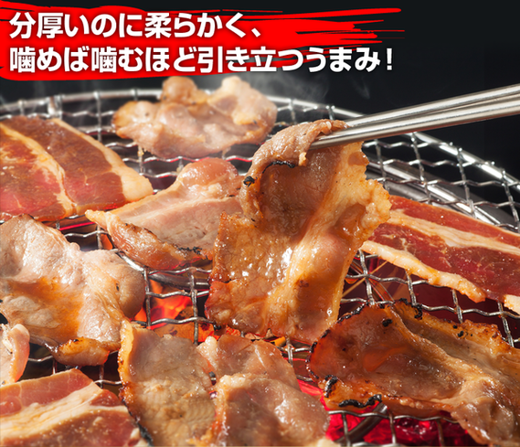 亀山社中 焼肉・BBQボリュームセット 2.13kg