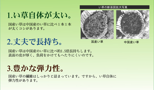 純国産 い草花ござカーペット 『ブロック』 グリーン 江戸間8畳(約348×352cm)