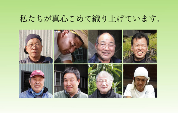 純国産 い草ラグカーペット 『Fダイヤ』 ブラウン 約174×230cm(裏:ウレタン)