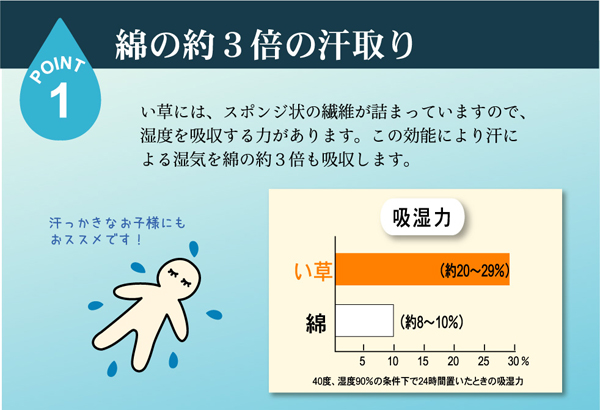 コンパクト い草ごろ寝マット 『エース 四折』 ブルー 80×180cm (中材:ウレタン30mm)