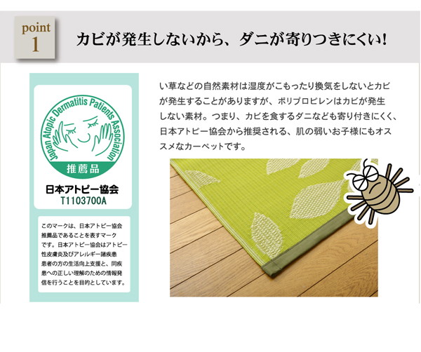 イメージ画像3