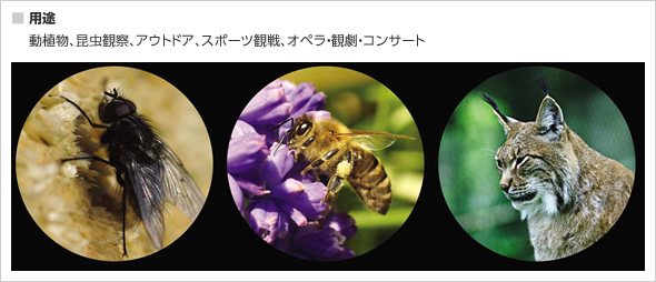 マクロスコープ/遠近両用単眼鏡 【8倍】 コンパクト/曇り防止 ミノックス 【日本正規品】 マクロスコープMS8×25