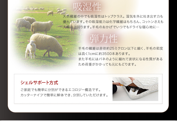 フロアベッド クイーン Truba 羊毛入りデュラテクノマットレス付き ブラウン 照明・棚付き大型フロアベッド Truba トルバ