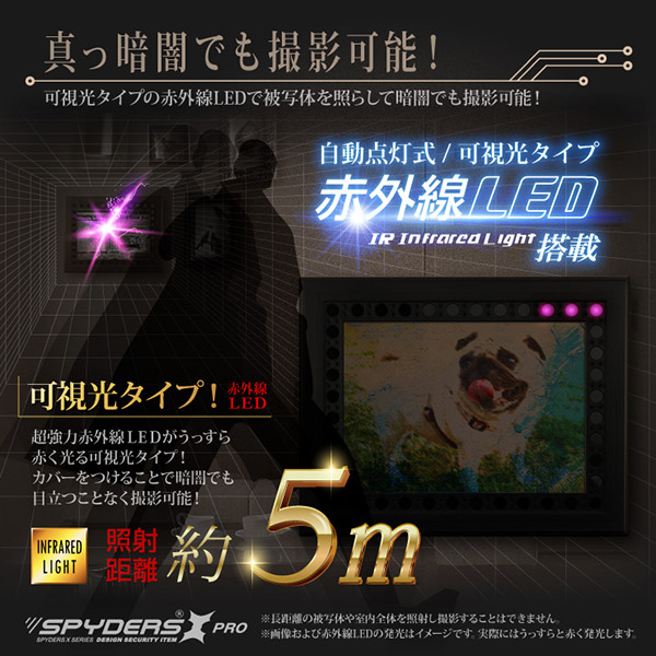 【超小型カメラ】【小型ビデオカメラ】アートフレーム型カメラ フォトフレーム スパイカメラ スパイダーズX PRO (PR-816) スパイカメラ 赤外線暗視 人体検知 省電力モデル