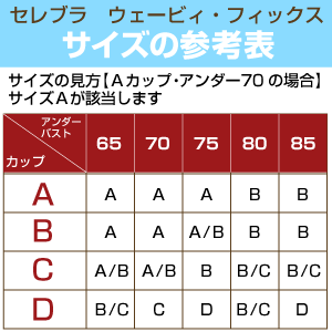 サイズ表