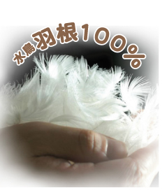 羽劫奴団8点セット