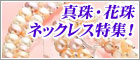 ���S�̊ӕʏ��t��