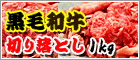 ���јa���؂藎�Ƃ�