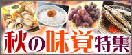 �H�̖��o���W