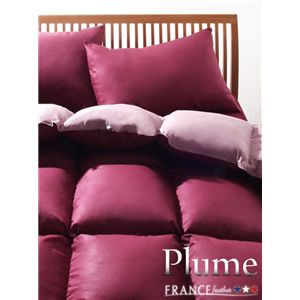 フランス産フェザー100%羽根布団8点セット【Plume】プルーム ベッドタイプ シングルサイズ リュクスボルドー