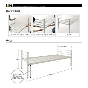 IׂpCv~hxbh ySECTz ZNg摜5XV