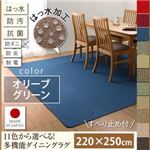 ラグマット 220×250cm【familia】オリーブグリーン 15色から選べる!撥水・防汚・防ダニ・抗菌・防炎・制電機能付きダイニングラグ【familia】ファミリア