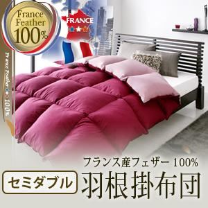 【単品】掛け布団 セミダブル アーバンブラック フランス産フェザー100%羽根掛布団
