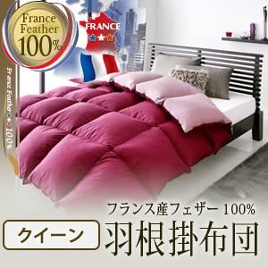 【単品】掛け布団 クイーン リュクスボルドー フランス産フェザー100%羽根掛布団