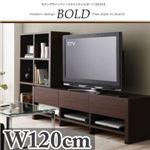 ローボード（テレビ台/テレビボード） 幅120cm【BOLD】ナチュラル モダンデザインフリースタイルテレビボード【BOLD】ボルド ロータイプ本体