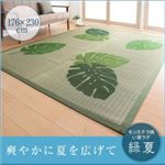ラグマット 176×230cm モンステラ柄い草ラグ 【緑夏】 りょくか