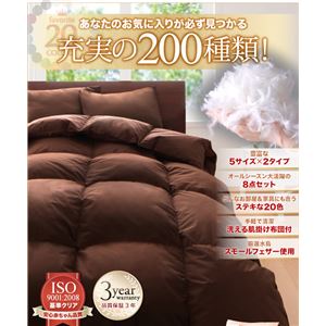 V20FHzc8_Zbgy30Zbg˔jLOLy[z a^Cv^VO y[O[摜Q