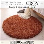 ラグマット 直径100cm(円形)【CROY】アイボリー 防ダニ・アレルゲン抑制ミックスシャギーラグ【CROY】クロイ