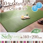ラグマット 140×200cm【Sidy】グレー 30タイプから選べる国産ふっくらい草ラグ【Sidy】シディ