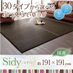 ラグマット 191×191cm【Sidy】ライトブラウン 30タイプから選べる国産ふっくらい草ラグ【Sidy】シディ