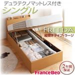収納ベッド ラージ シングル【縦開き】【Freeda】【デュラテクノマットレス付】 ホワイト 新開閉タイプが選べるガス圧式跳ね上げ大容量収納ベッド【Freeda】フリーダ