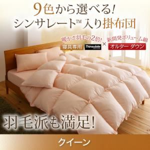 【単品】掛け布団 クイーン ワインレッド 9色から選べる!シンサレート入り掛布団