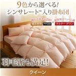 【単品】掛け布団 クイーン ナチュラルベージュ 9色から選べる!シンサレート入り掛布団