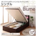 収納ベッド ラージ シングル【縦開き】【Blume】【オリジナルポケットコイルマットレス付】 ホワイト 開閉＆深さが選べるガス圧式跳ね上げ収納ベッド【Blume】 ブルーメ
