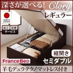 【組立設置費込】収納ベッド レギュラー セミダブル【縦開き】【羊毛デュラテクノマットレス付】【Clory】ホワイト 開閉タイプ＆深さが選べるコンセント付きガス圧式跳ね上げ収納ベッド【Clory】クローリー