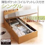 【組立設置費込】 収納ベッド ラージ シングル【縦開き】【Freeda】【薄型ポケットコイルマットレス付】 ホワイト 新 開閉タイプが選べるガス圧式跳ね上げ大容量収納ベッド【Freeda】フリーダ