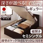 【組立設置費込】 収納ベッド レギュラー セミシングル【縦開き】【Clory】【薄型ポケットコイルマットレス付】 ホワイト 新 開閉タイプ＆深さが選べるコンセント付きガス圧式跳ね上げ収納ベッド【Clory】クローリー
