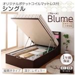 【組立設置費込】 収納ベッド レギュラー シングル【縦開き】【Blume】【オリジナルポケットコイルマットレス付】 ホワイト 開閉＆深さが選べるガス圧式跳ね上げ収納ベッド【Blume】ブルーメ