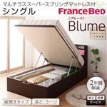 【組立設置費込】 収納ベッド ラージ シングル【縦開き】【Blume】【マルチラススーパースプリングマットレス付】 ホワイト 開閉＆深さが選べるガス圧式跳ね上げ収納ベッド【Blume】ブルーメ