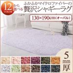 ラグマット さくら 12色×6サイズから選べる すべてミックスカラー ふかふかマイクロファイバーの贅沢シャギーラグ 130×190cm（オーバル/楕円形）