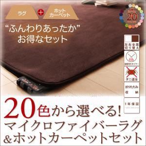 【訳あり・在庫処分】20色から選べる! マイクロファイバーラグ+ホットカーペットセット (色：シルバーアッシュ) 