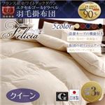 【単品】掛け布団 クイーン【フェリシア】サイレントブラック 日本製防カビ消臭 フランス産ホワイトダックダウンエクセルゴールドラベル羽毛掛布団 Felicia【フェリシア】